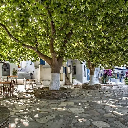 The Nest Triandaros (Tinos)